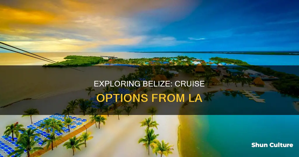 can you take a cruise to belize from la