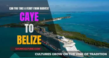 Exploring Harvest Caye: Ferry to Belize?