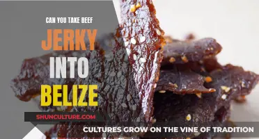 Traveling to Belize? Know the Rules for Beef Jerky