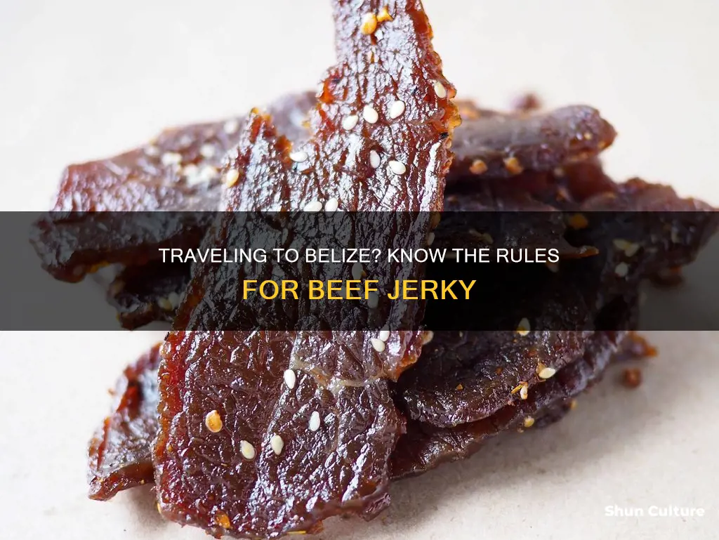 can you take beef jerky into belize