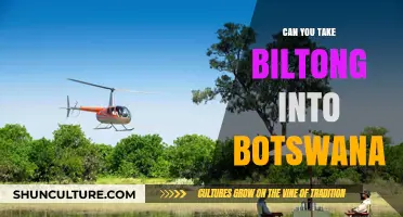 Traveling to Botswana? Learn Biltong Import Rules and Restrictions