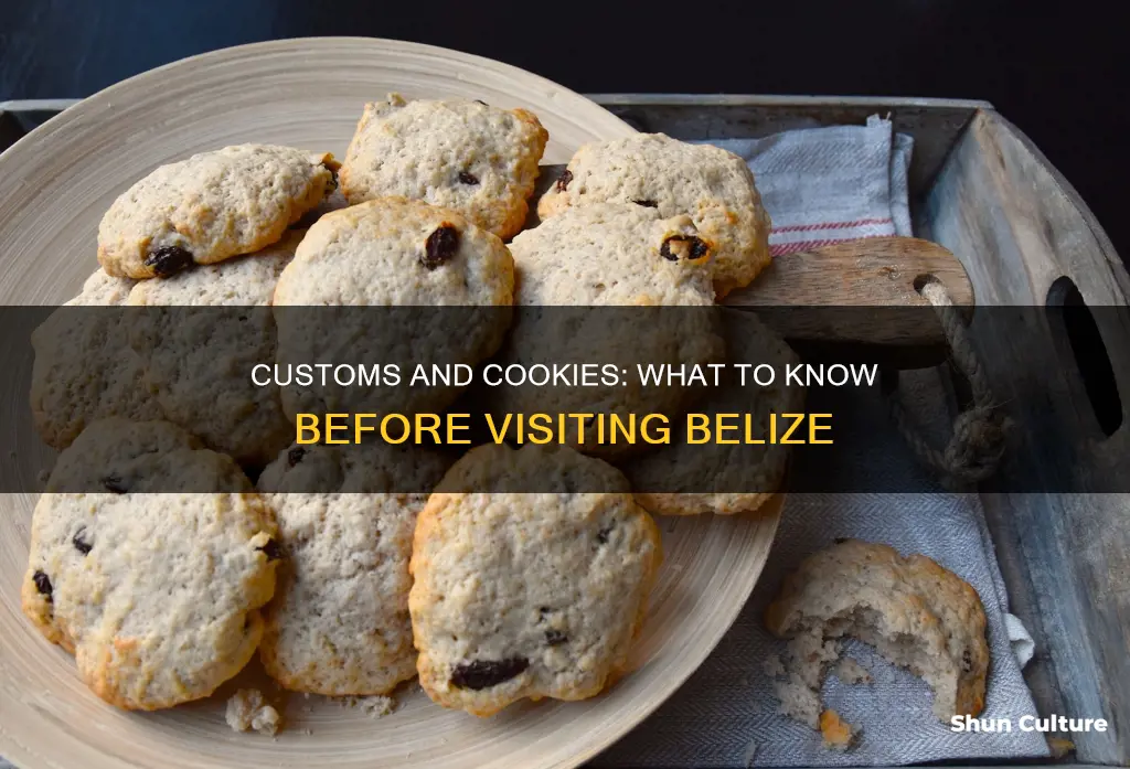 can you take cookies into belize