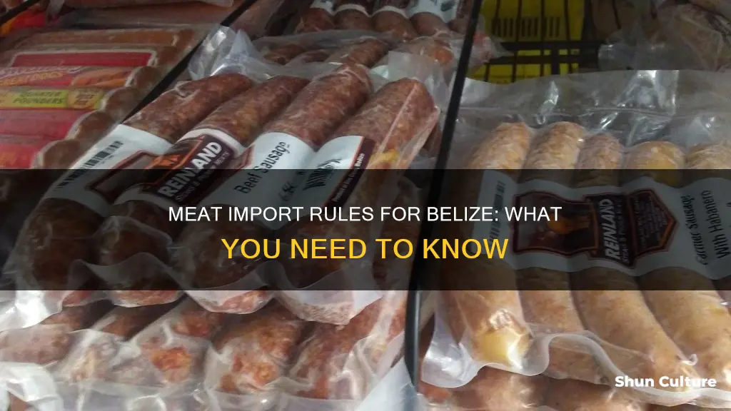 can you take meat into belize