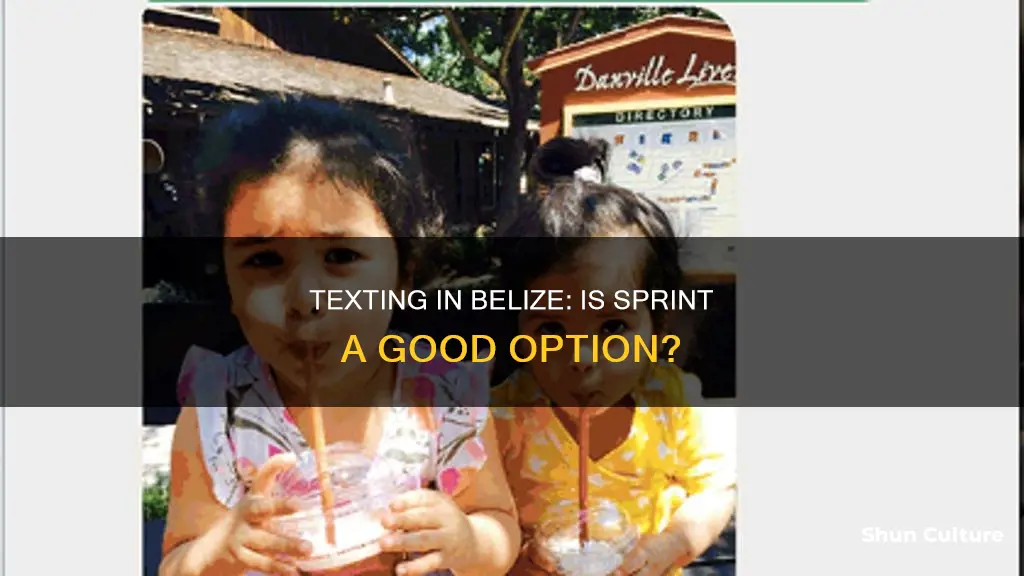 can you text in belize with sprint