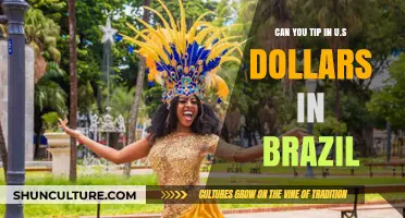 Tipping in Brazil: Can You Use U.S. Dollars?