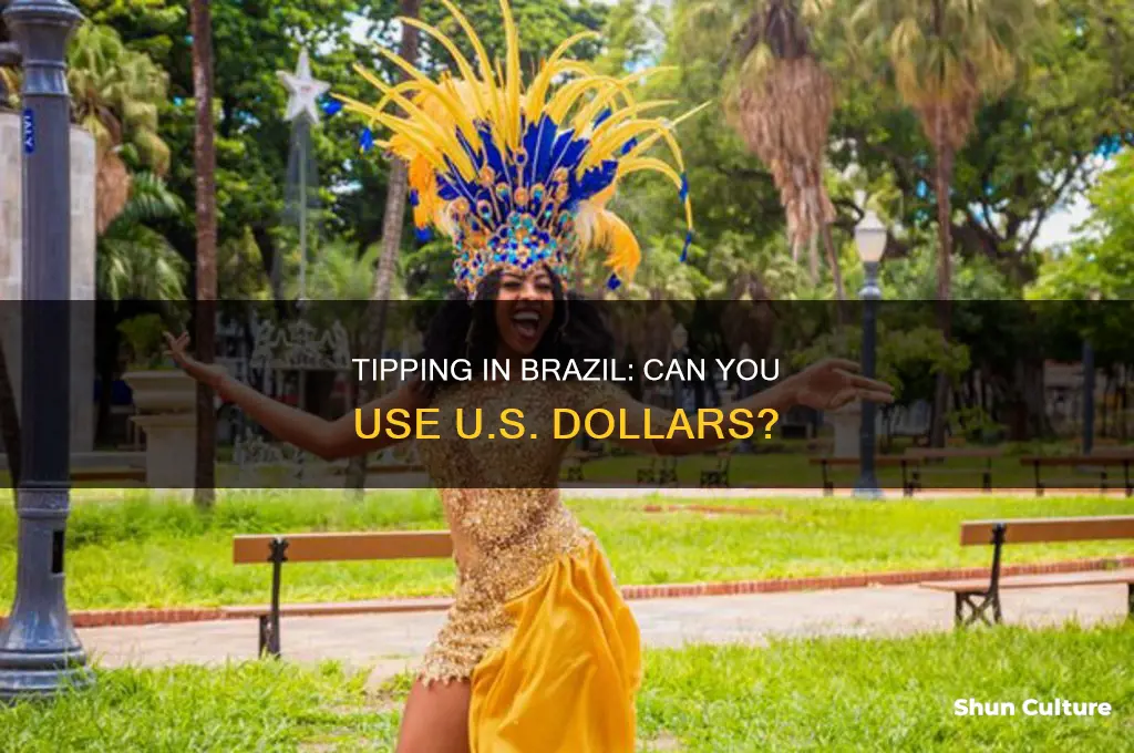 can you tip in u.s dollars in brazil