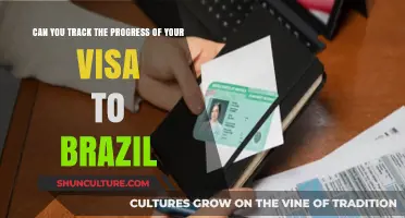 How to Track Your Brazil Visa Application Progress Easily