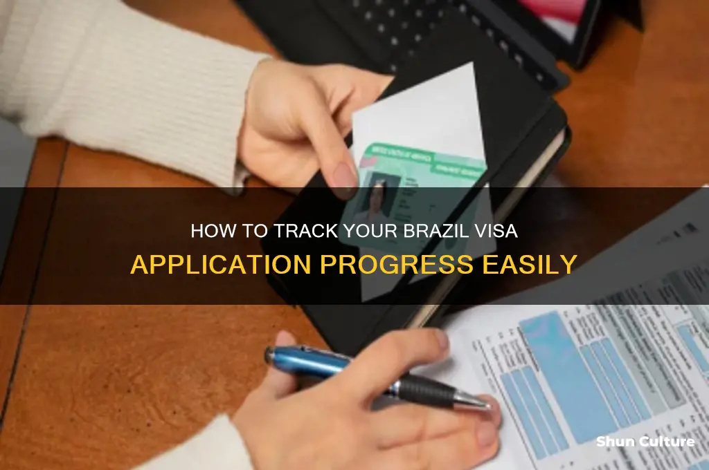 can you track the progress of your visa to brazil