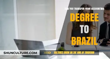 Transferring Your Accounting Degree to Brazil: Possibilities and Requirements