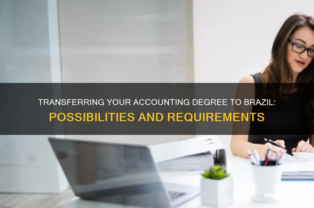 can you transfer your accounting degree to brazil