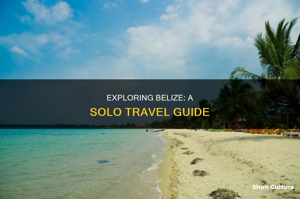 can you travel alone to belize