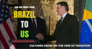 Traveling from Brazil to the US: Visa, Flights, and Tips