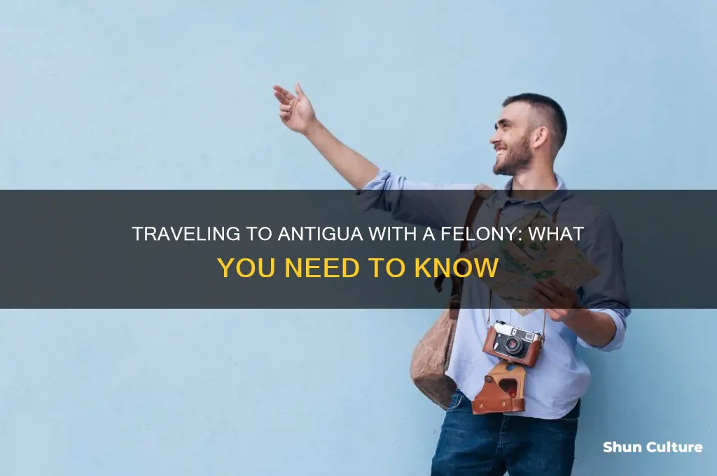 can you travel to antigua with a felony