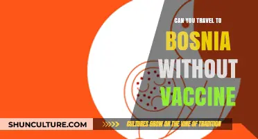 Traveling to Bosnia: Vaccine Requirements and Entry Guidelines Explained