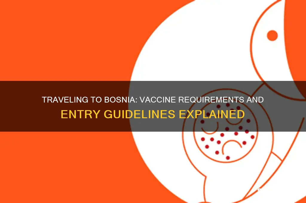 can you travel to bosnia without vaccine