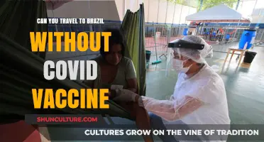 Traveling to Brazil: COVID Vaccine Requirements and Entry Rules
