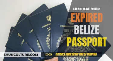 Traveling with an Expired Belize Passport: What You Need to Know