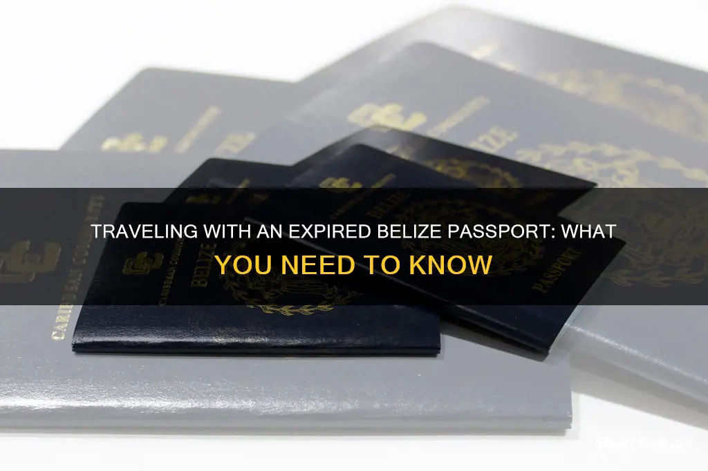 can you travel with an expired belize passport