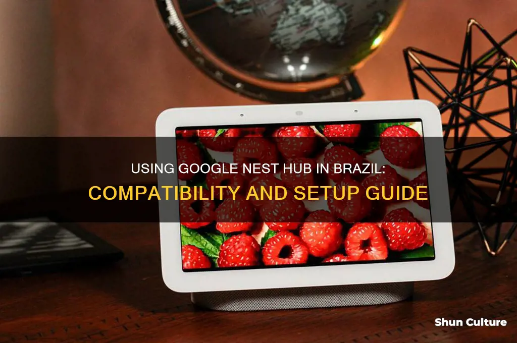 can you use a nest hub in brazil