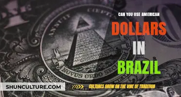 Using US Dollars in Brazil: What Travelers Need to Know