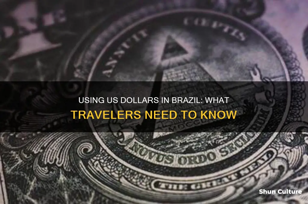 can you use american dollars in brazil