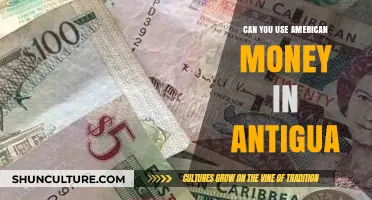 Using US Dollars in Antigua: What Travelers Need to Know