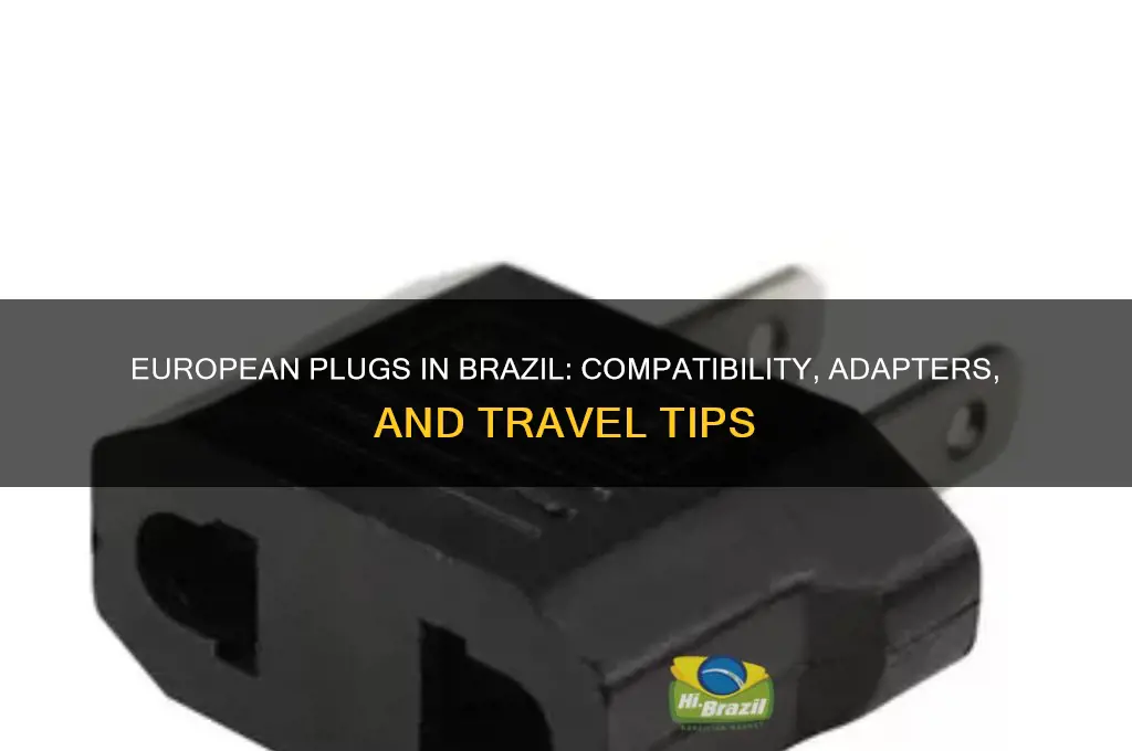 can you use european plug in brazil