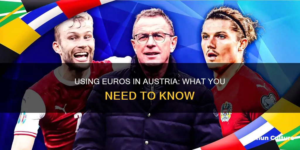 can you use euros in austria