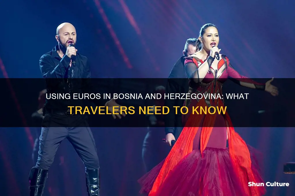 can you use euros in bosnia herzegovina