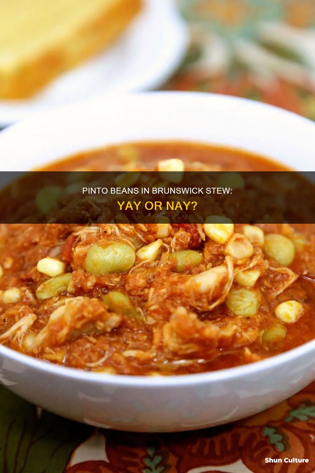 can you use pinto beans in brunswick stew