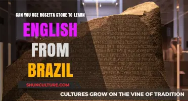 Mastering English with Rosetta Stone: A Guide for Brazilian Learners