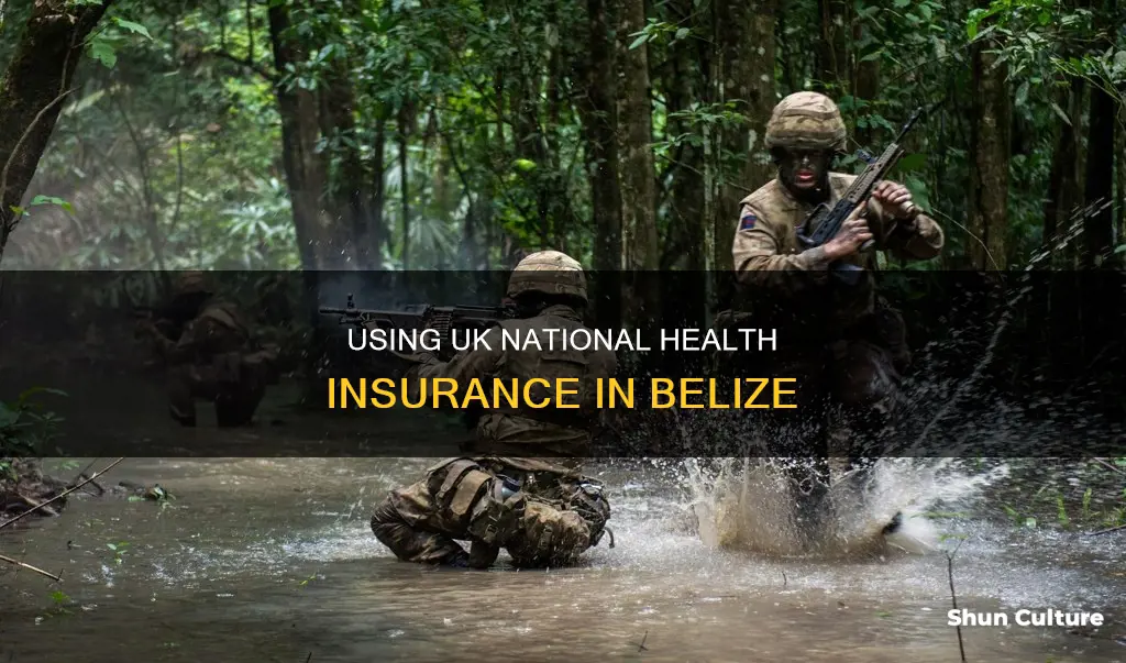 can you use uk national health insurance belize