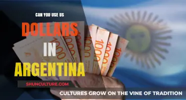 Exploring Currency Exchange: Using US Dollars in Argentina