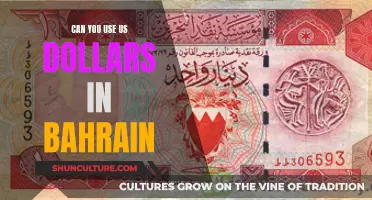 Using US Dollars in Bahrain: Is It Possible?