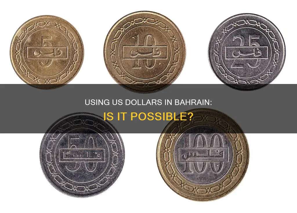 can you use us dollars in bahrain