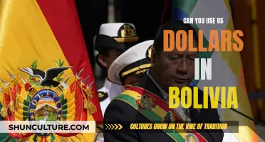 Traveling to Bolivia? Know About Using US Dollars