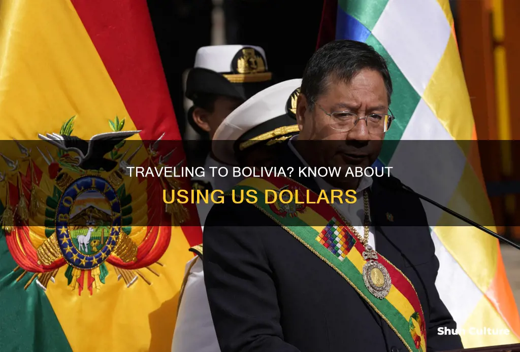 can you use us dollars in bolivia