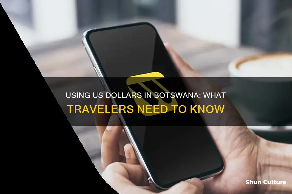 can you use us dollars in botswana