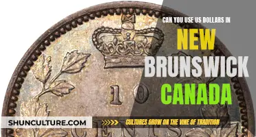 US Dollars in New Brunswick, Canada: Accepted?