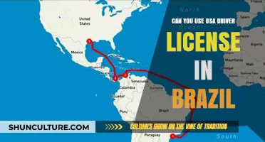 Using a USA Driver's License in Brazil: Legalities and Requirements