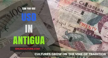 Using USD in Antigua: Currency Tips for Travelers and Expats