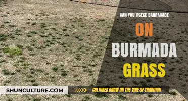 Effective Lawn Care: Using Barricade on Bermuda Grass