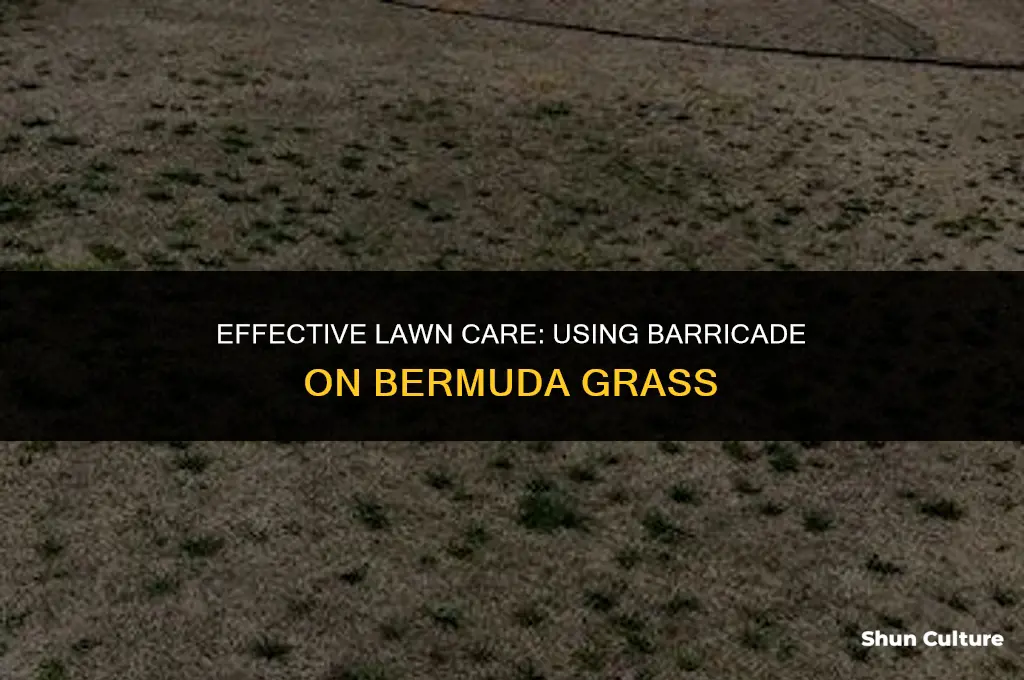can you usese barracade on burmada grass