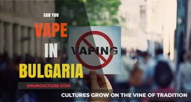 Exploring Vaping Regulations: A Guide to Bulgaria's E-Cigarette Laws