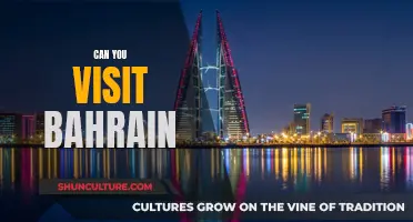 Exploring Bahrain: A Traveler's Guide and Experience