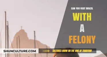Traveling to Brazil with a Felony: What You Need to Know