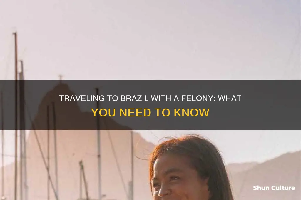 can you visit brazil with a felony