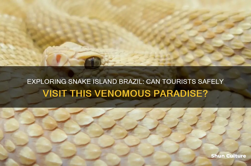 can you visit snake island brazil