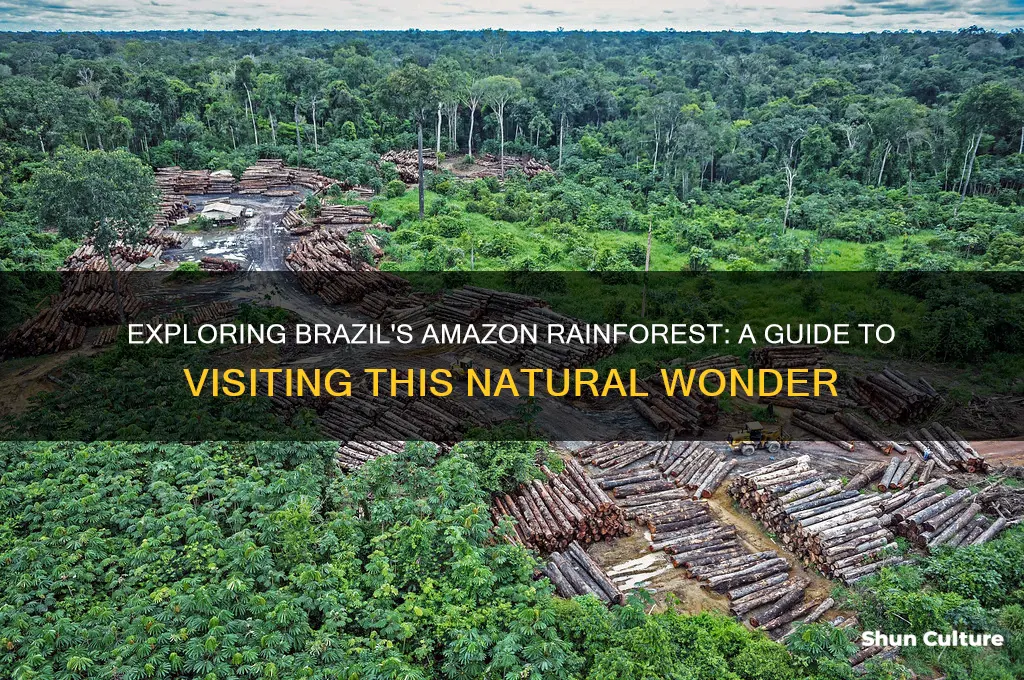 can you visit the amazon rainforest in brazil
