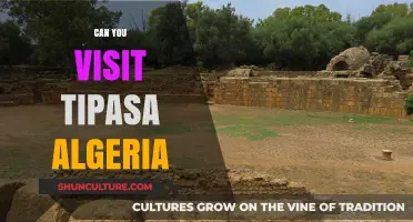 Exploring Tipasa, Algeria: A Guide to Visiting This Ancient Roman Site